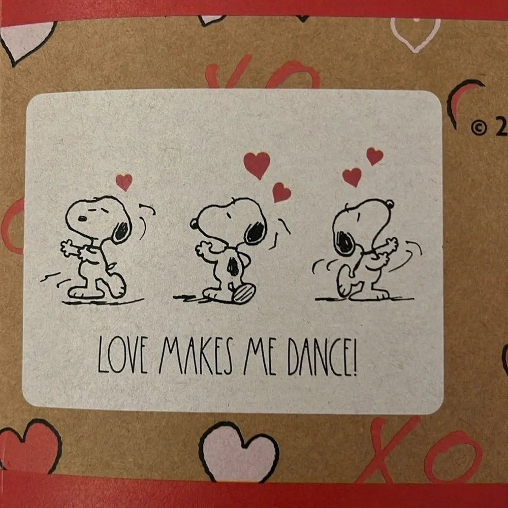 Peanuts X Rae Dunn peanuts rae